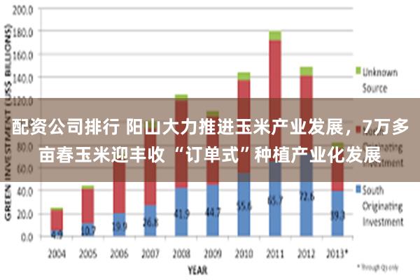 配资公司排行 阳山大力推进玉米产业发展，7万多亩春玉米迎丰收 “订单式”种植产业化发展