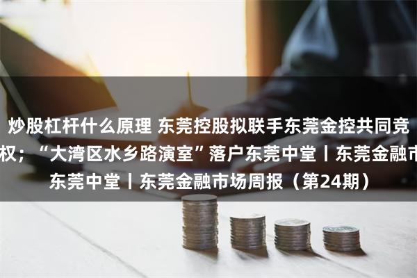 炒股杠杆什么原理 东莞控股拟联手东莞金控共同竞拍东莞证券20%股权；“大湾区水乡路演室”落户东莞中堂丨东莞金融市场周报（第24期）