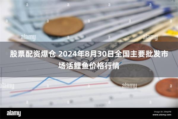 股票配资爆仓 2024年8月30日全国主要批发市场活鲤鱼价格行情