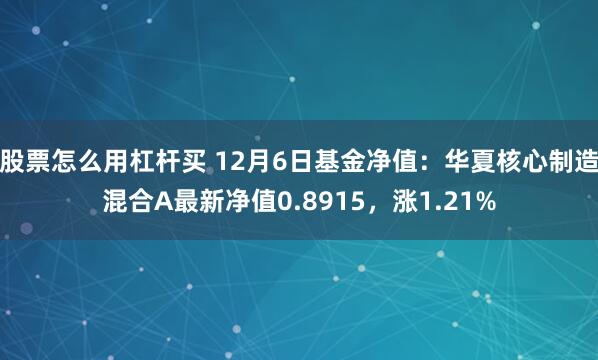 股票怎么用杠杆买 12月6日基金净值：华夏核心制造混合A最新净值0.8915，涨1.21%