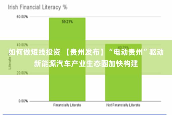 如何做短线投资 【贵州发布】“电动贵州”驱动新能源汽车产业生态圈加快构建