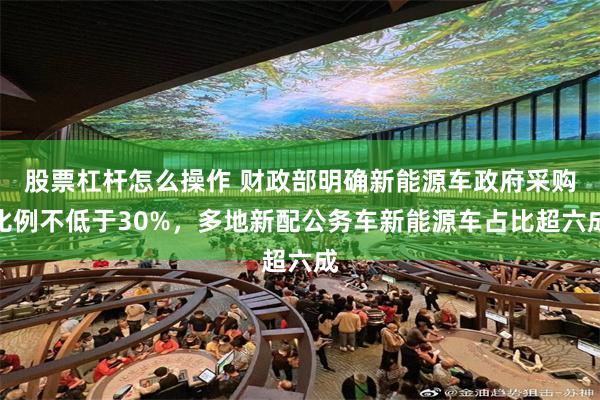 股票杠杆怎么操作 财政部明确新能源车政府采购比例不低于30%，多地新配公务车新能源车占比超六成