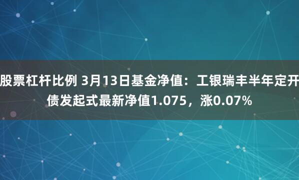 股票杠杆比例 3月13日基金净值：工银瑞丰半年定开债发起式最新净值1.075，涨0.07%